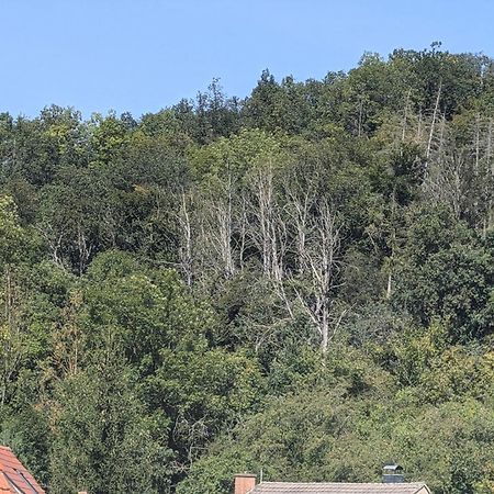 Ferienwohnung Mit Ausblick In Wimmelburg ภายนอก รูปภาพ