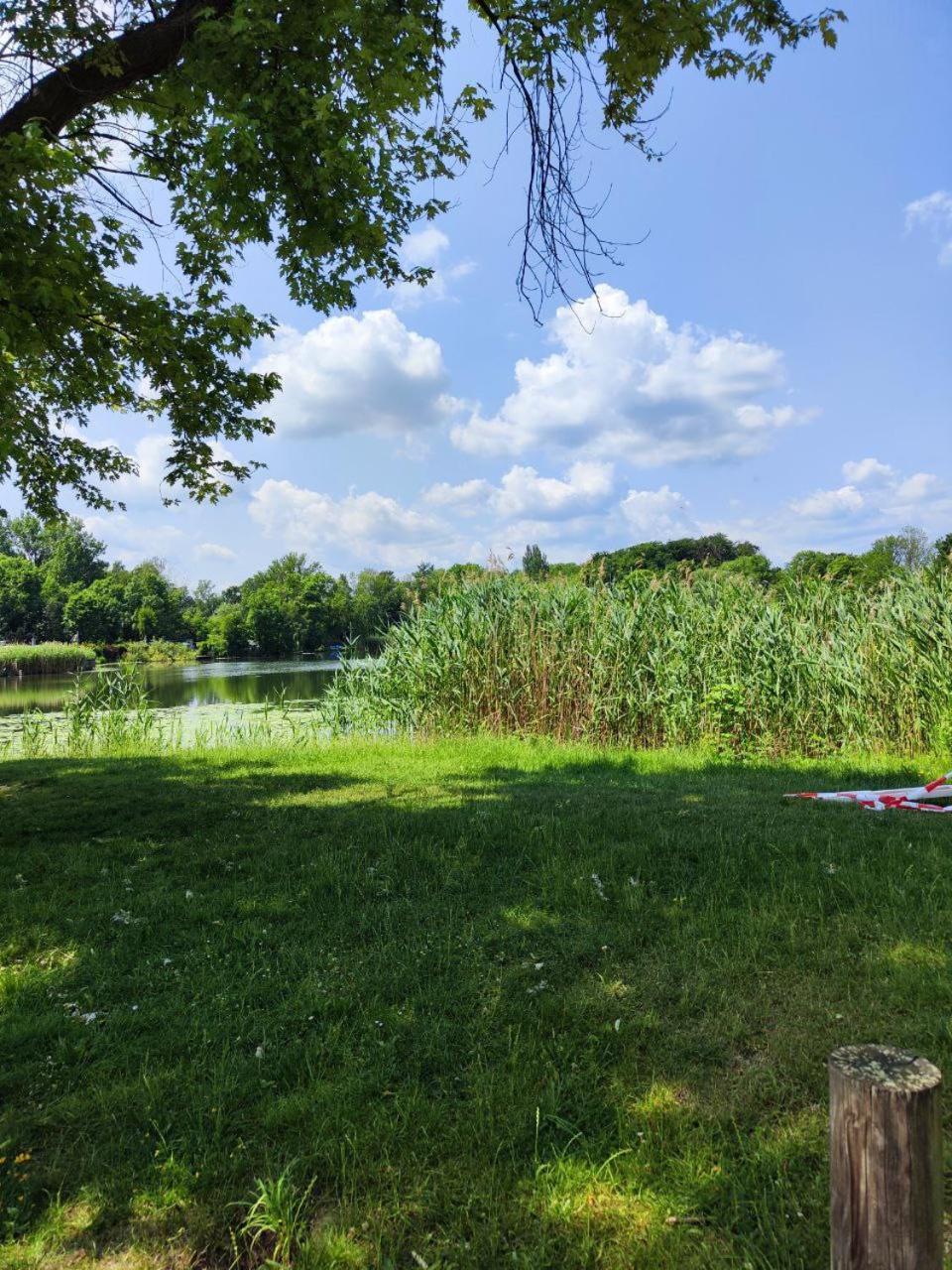 Ferienwohnung Mit Ausblick In Wimmelburg ภายนอก รูปภาพ