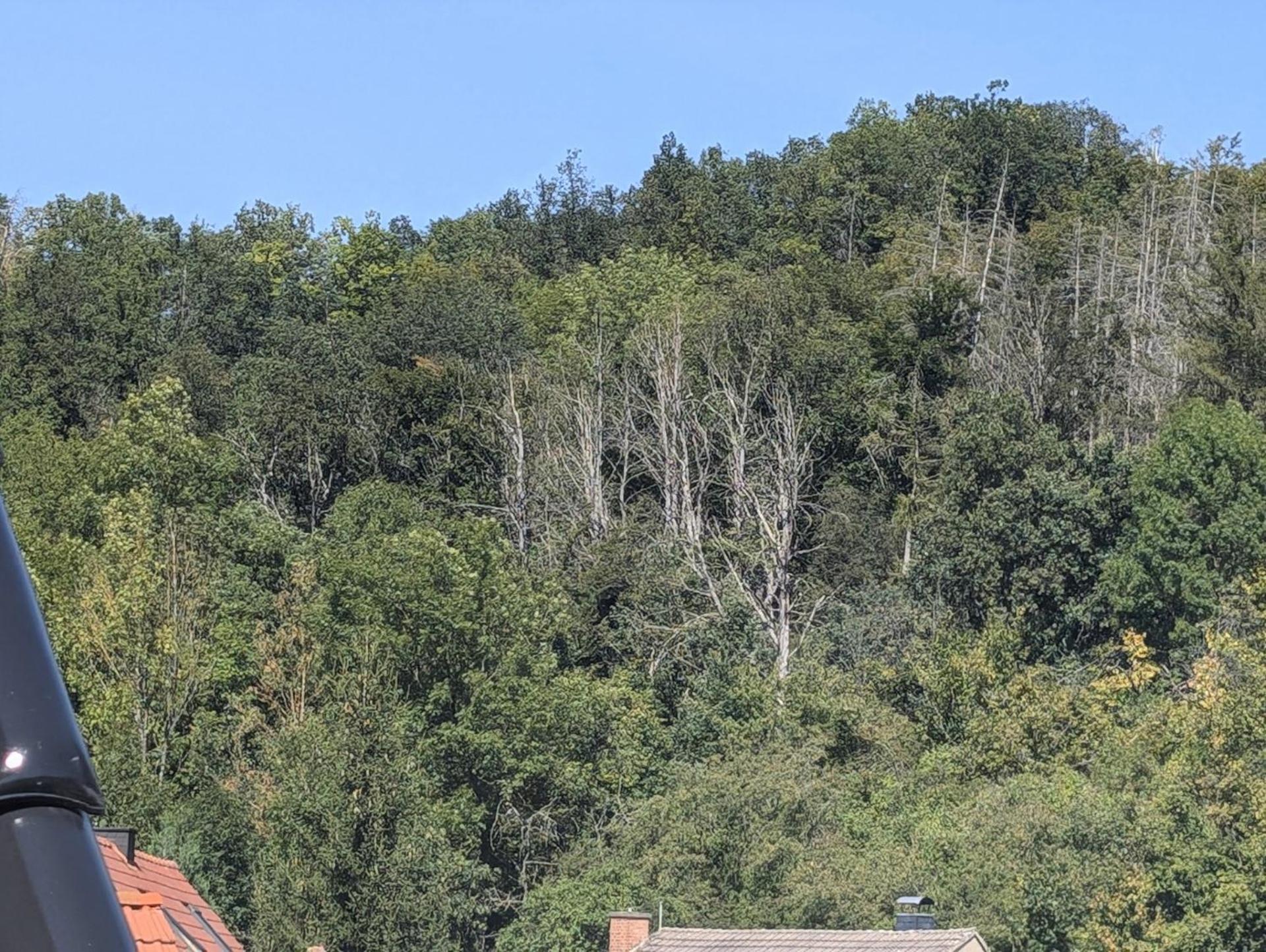 Ferienwohnung Mit Ausblick In Wimmelburg ภายนอก รูปภาพ